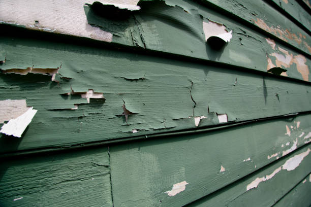 Junk Removal for Events in Selden, NY